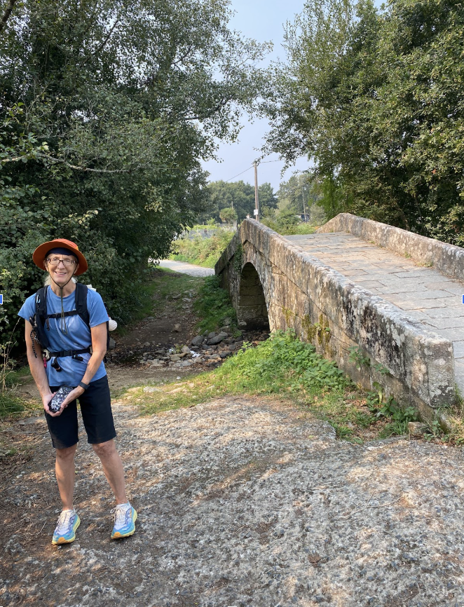 Compostela, Camino Frances