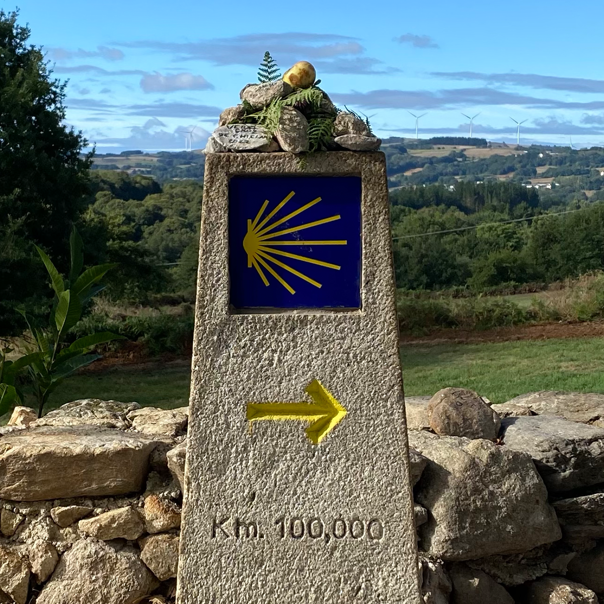 Camino Francés