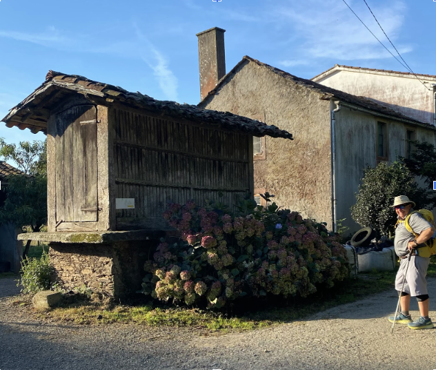 Compostela, Camino Frances