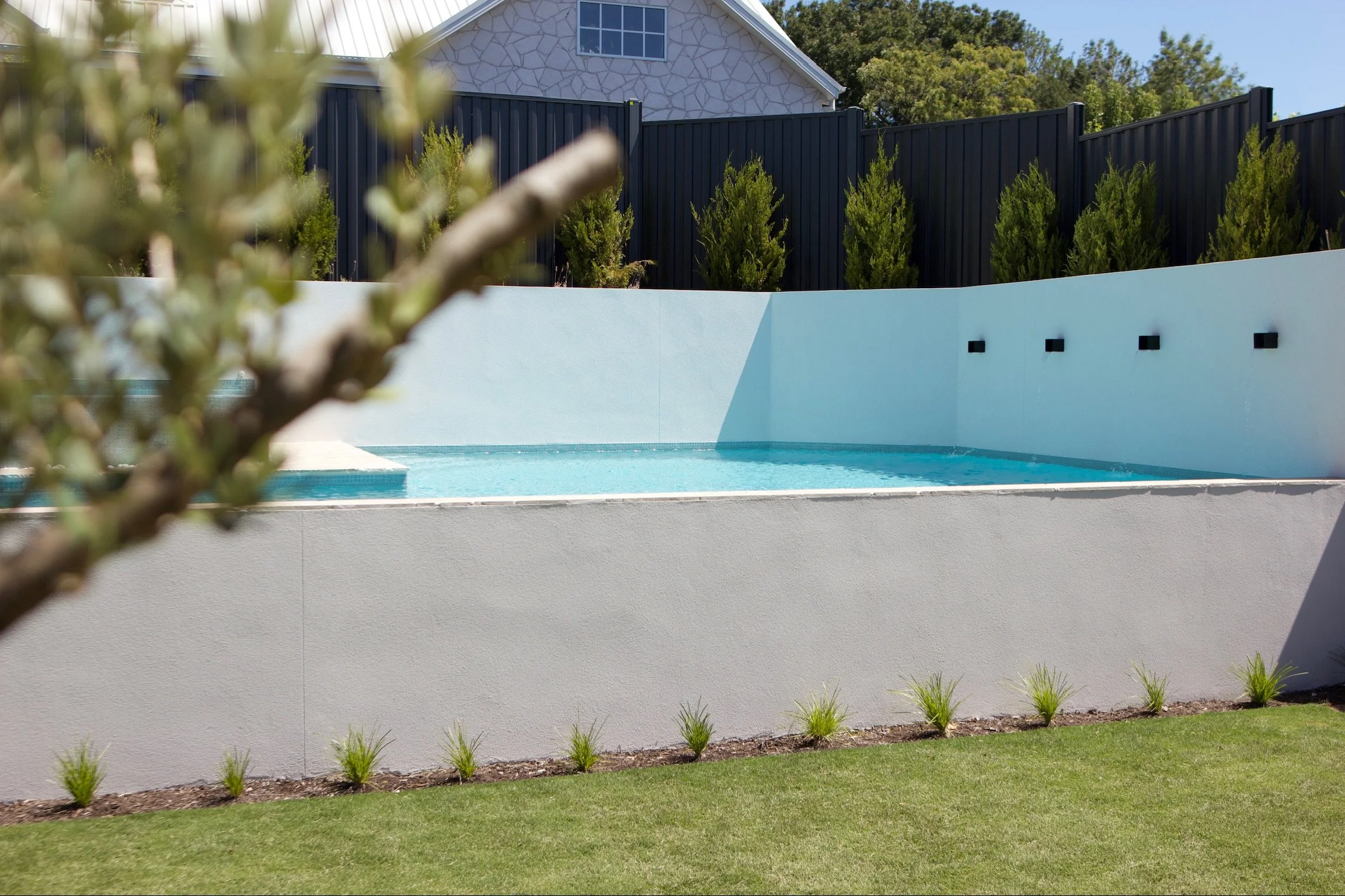 Backyard with in-ground pool, white walls, a black fence, small plants and a grassy lawn, with a house in the background.