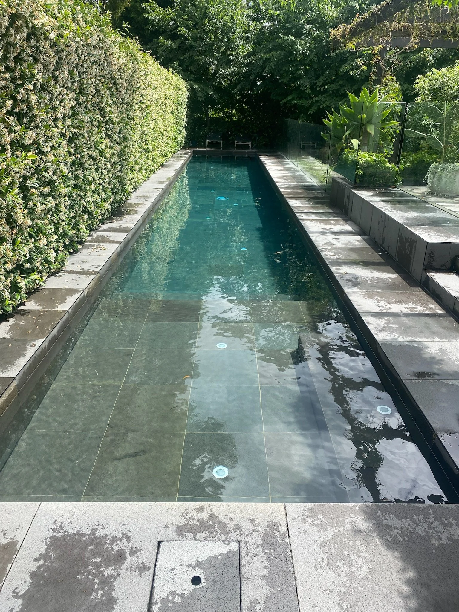 A narrow swimming pool with a tile bottom, surrounded by greenery and plants, with sunlight and shadows on the water and the poolside.