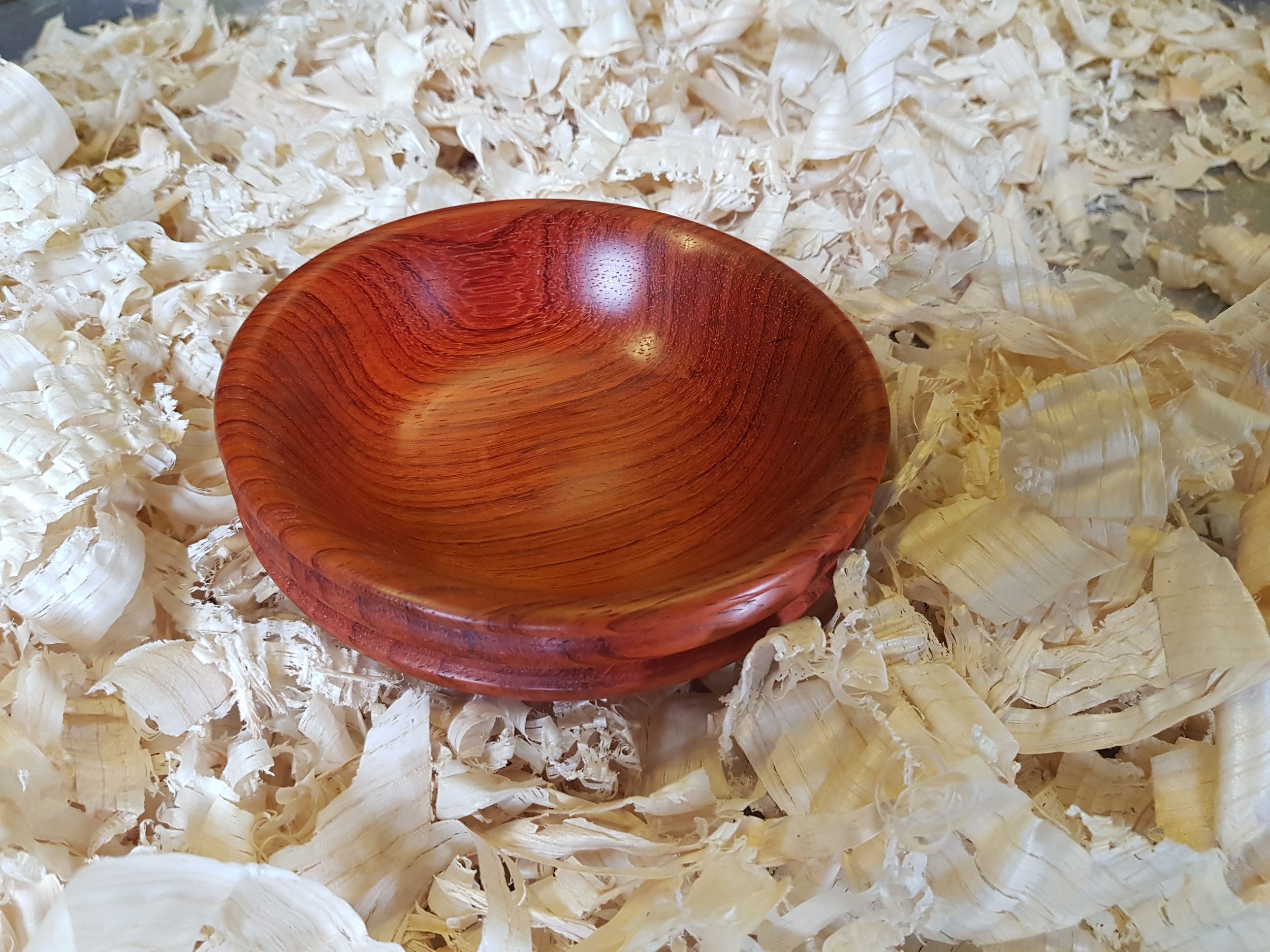 A small, round wooden bowl with reddish-brown color, placed on a bed of wood shavings.
