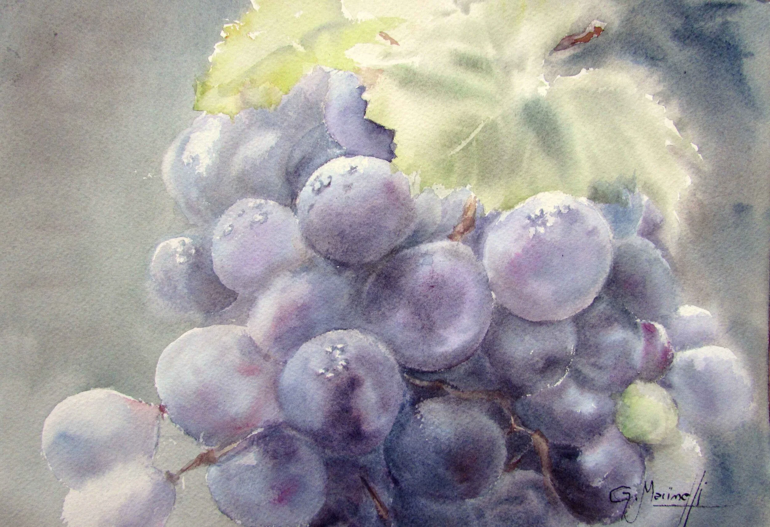 Malbec grapes.jpg