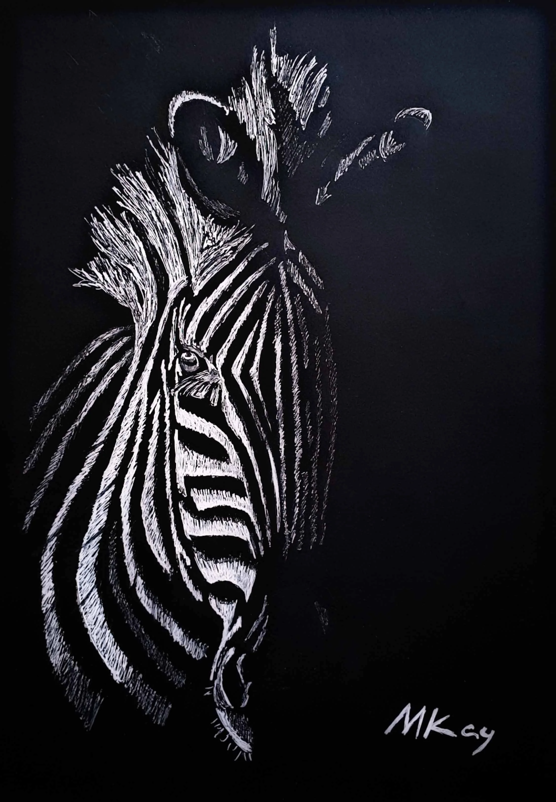 Zebra | Black & White Gel Pen Drawing | 21 x 30 cm | 950 USD
