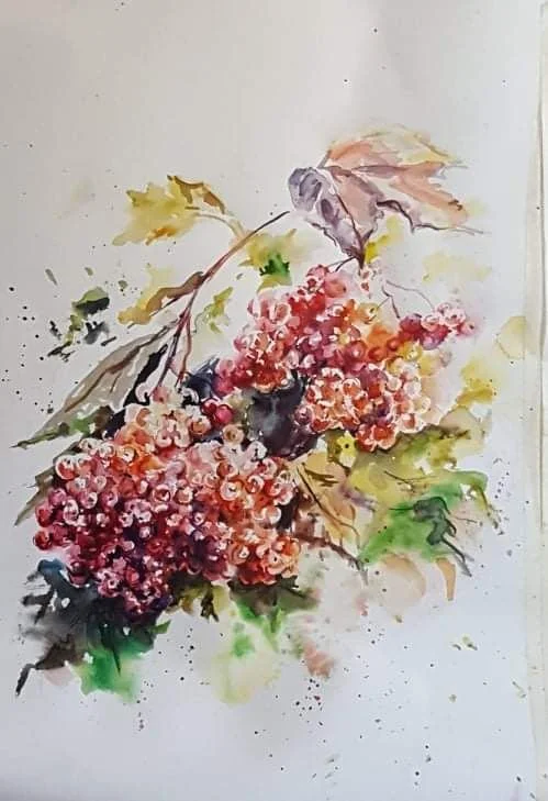 Kalina | Watercolour on Paper | 35 x 48 cm | 350 USD