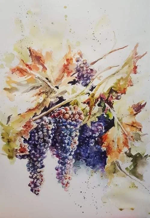 Grapes | Watercolour on Paper | 35 x 48 cm | 350 USD