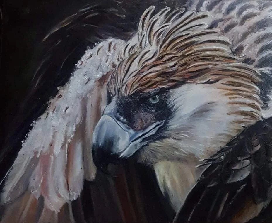 King of the Sky | Oil on Canvas | 50 x 40 cm | 850 USD