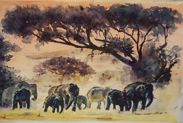 Savannah | Watercolour on Paper | 40 x 30 cm | 400 USD
