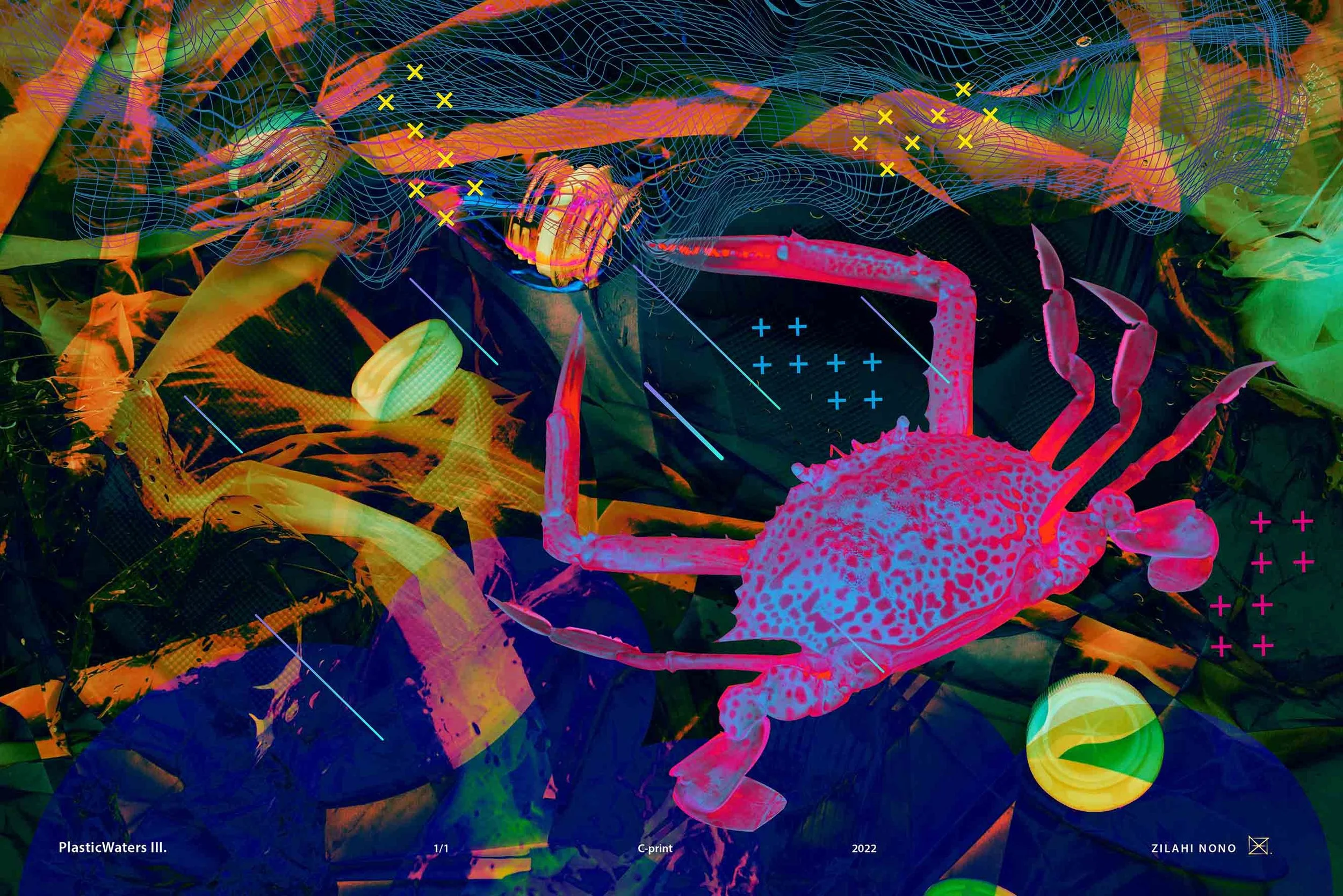 Plastic Waters III | Digital Technique / C-print | 70 x 100 cm | 400 USD