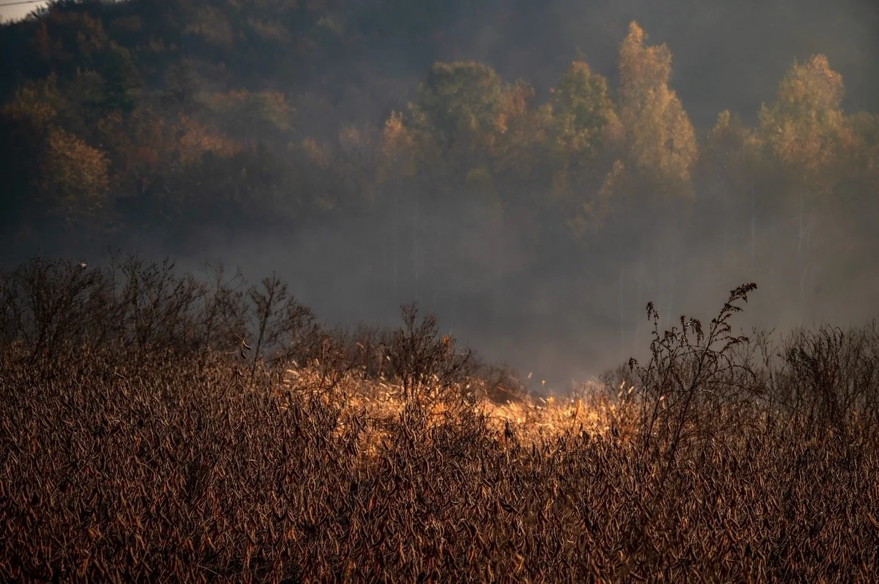 Screenshot 2025-03-06 at 10.19.06 Large.jpeg