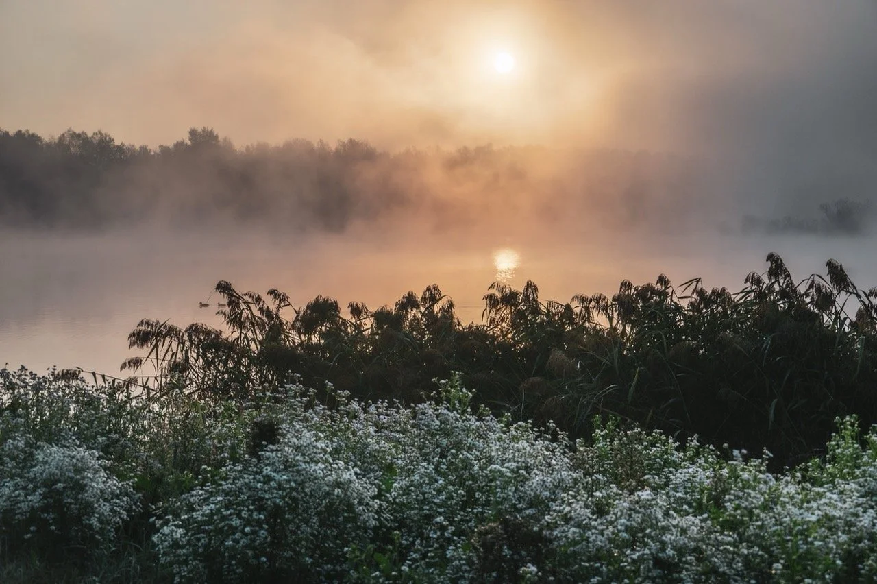 Screenshot 2025-03-06 at 10.18.58 Large.jpeg