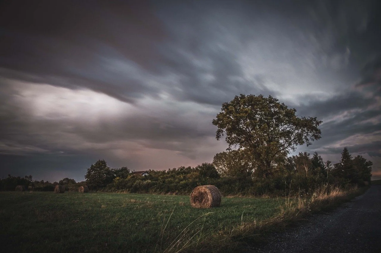 Screenshot 2025-03-06 at 10.22.34 Large.jpeg