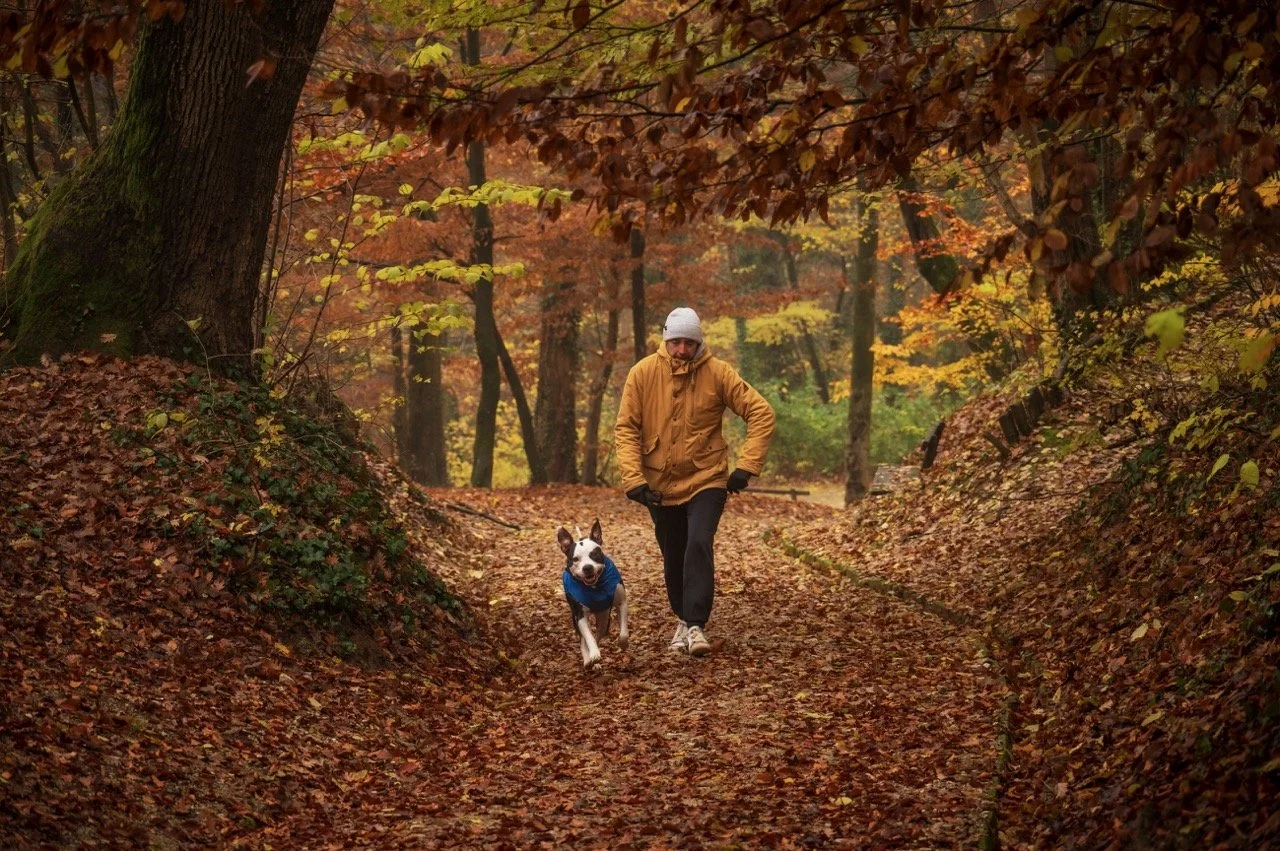 Screenshot 2025-03-06 at 10.20.34 Large.jpeg