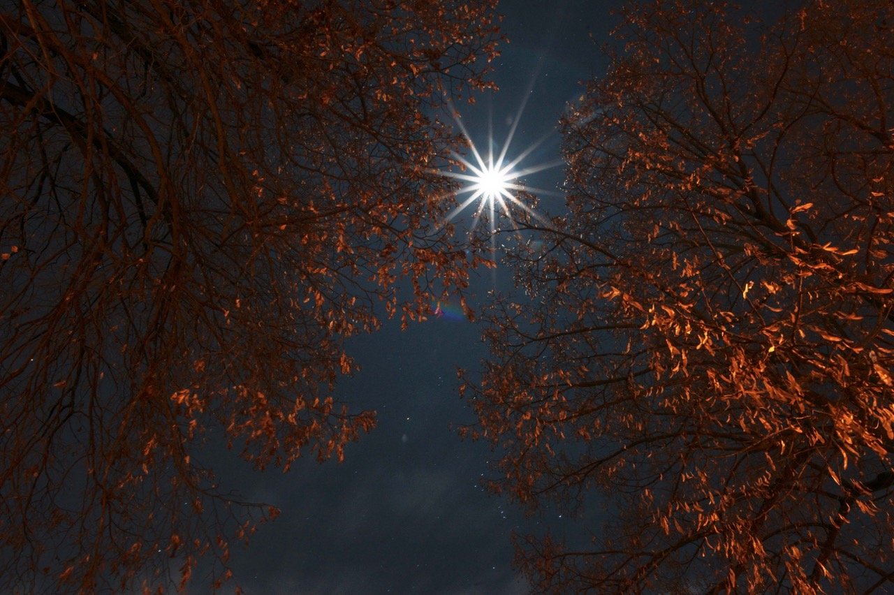 Screenshot 2025-03-06 at 10.20.18 Large.jpeg