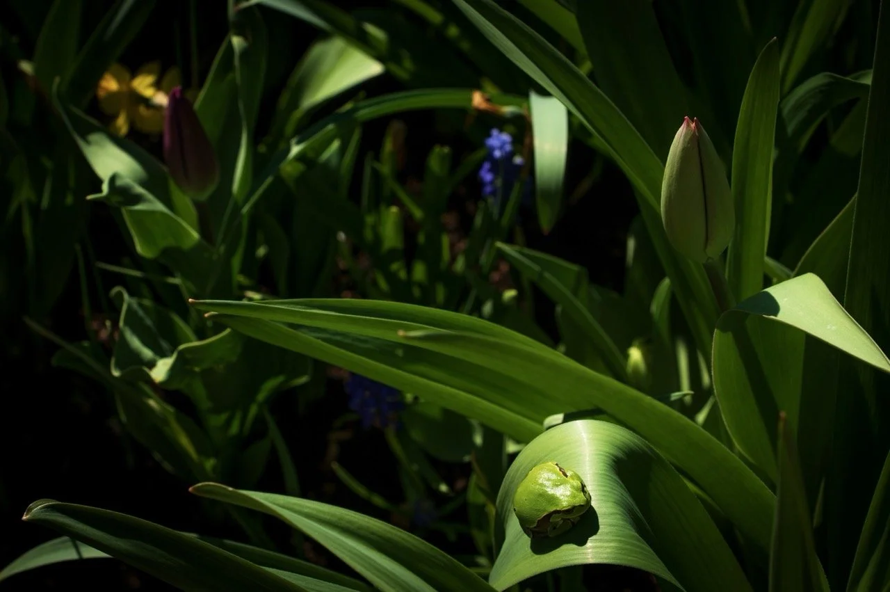 Screenshot 2025-03-06 at 10.19.11 Large.jpeg