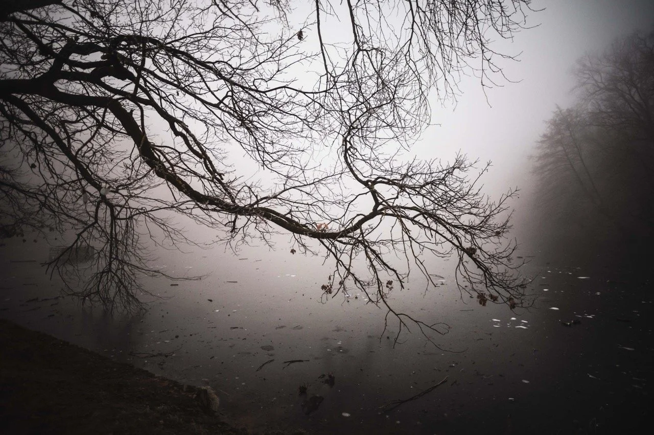 Screenshot 2025-03-06 at 10.19.17 Large.jpeg