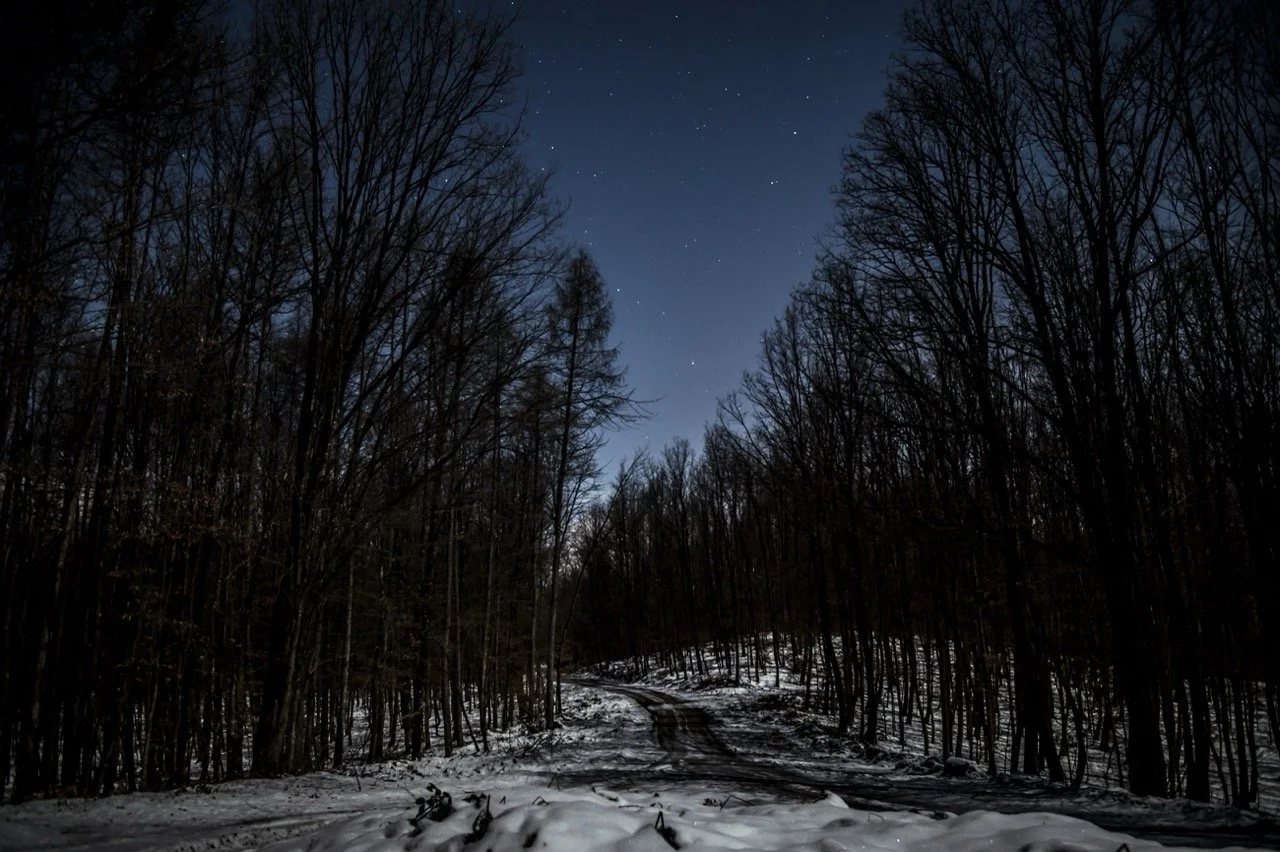 Screenshot 2025-03-06 at 10.15.19 Large.jpeg