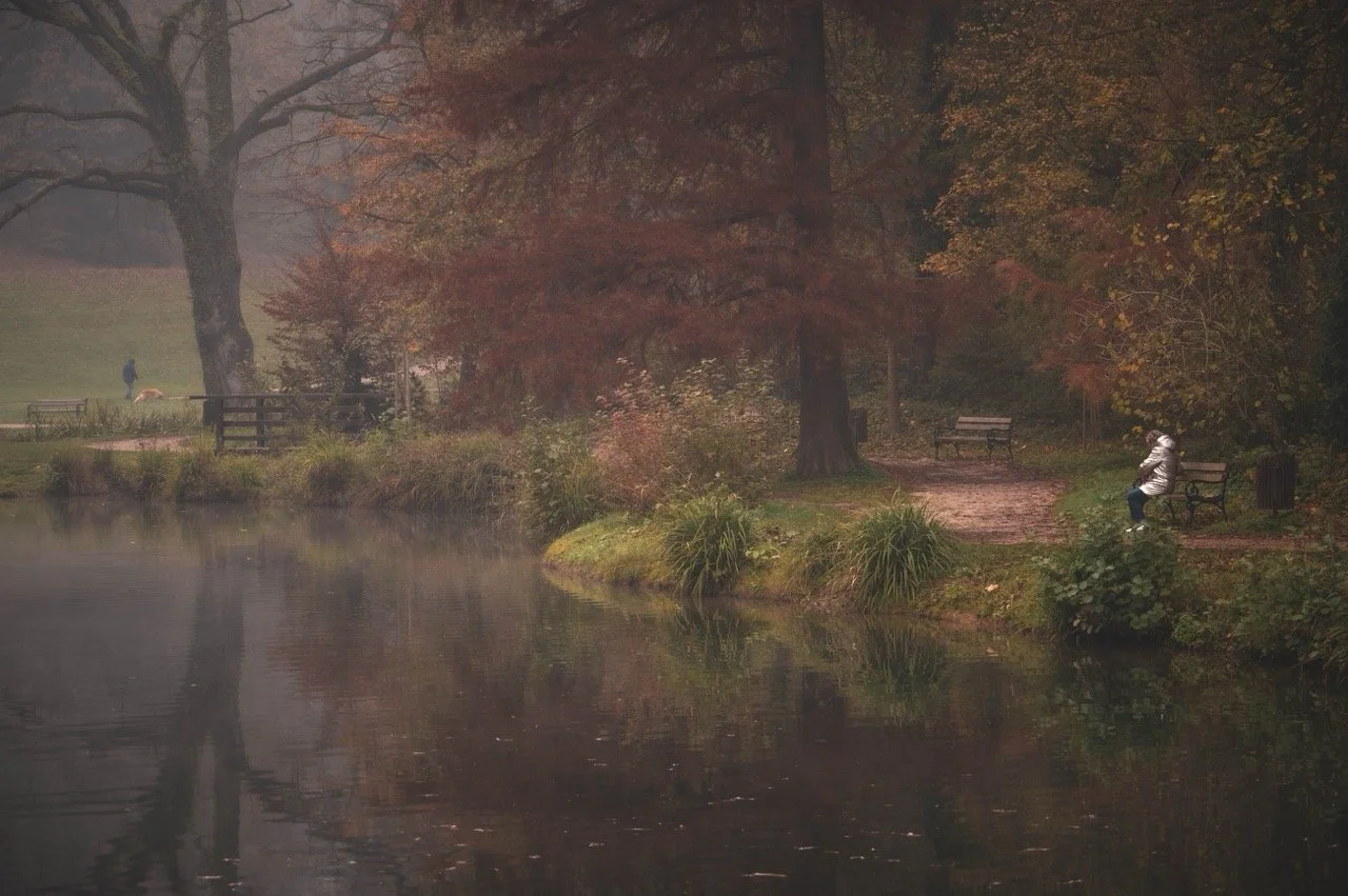 Screenshot 2025-03-06 at 10.19.14 Large.jpeg