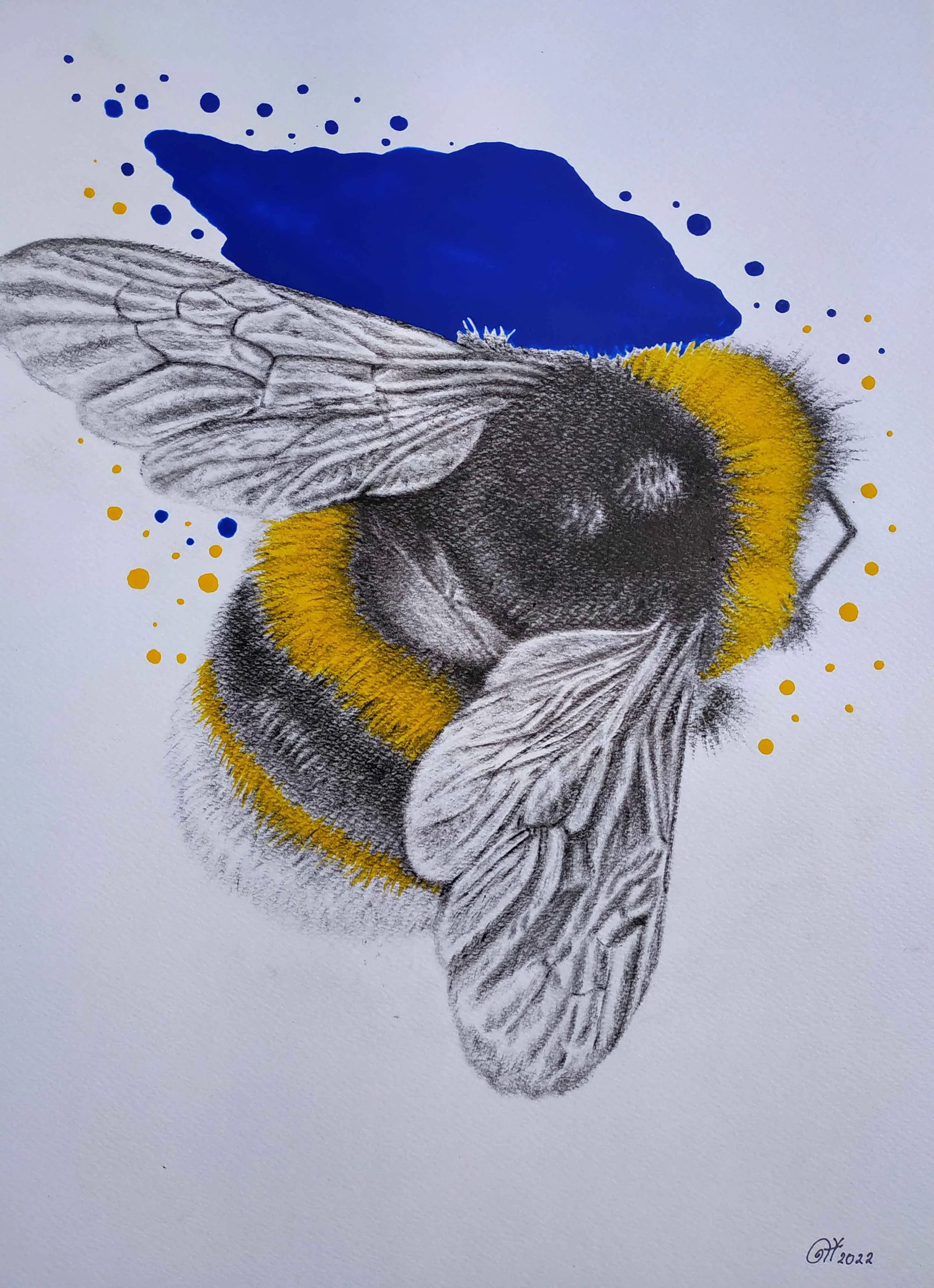 Bee | Oil & Acrylic on Paper | 42 x 30 cm | 550 USD