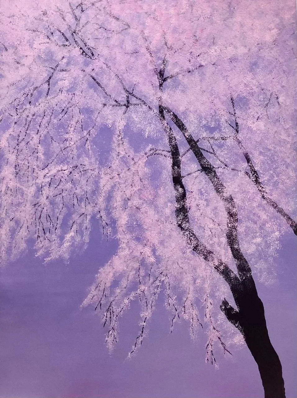 Cherry Blossoms  
| 30” x 40”  
| Acrylics on Canvas