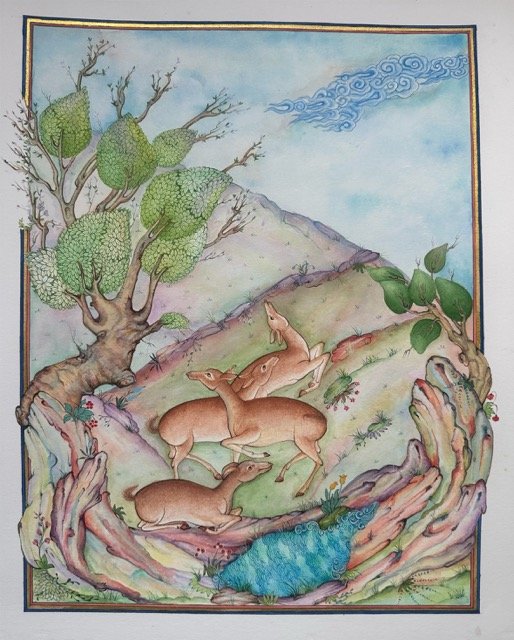 gazelles-miniature Medium.jpeg