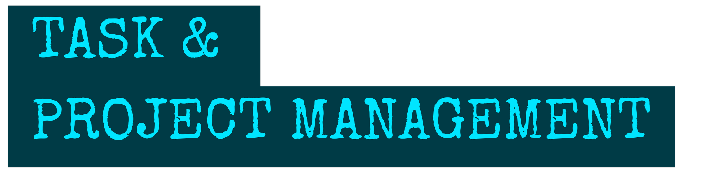 Text on a black background reading 'TASK & PROJECT MANAGEMENT' in blue font.
