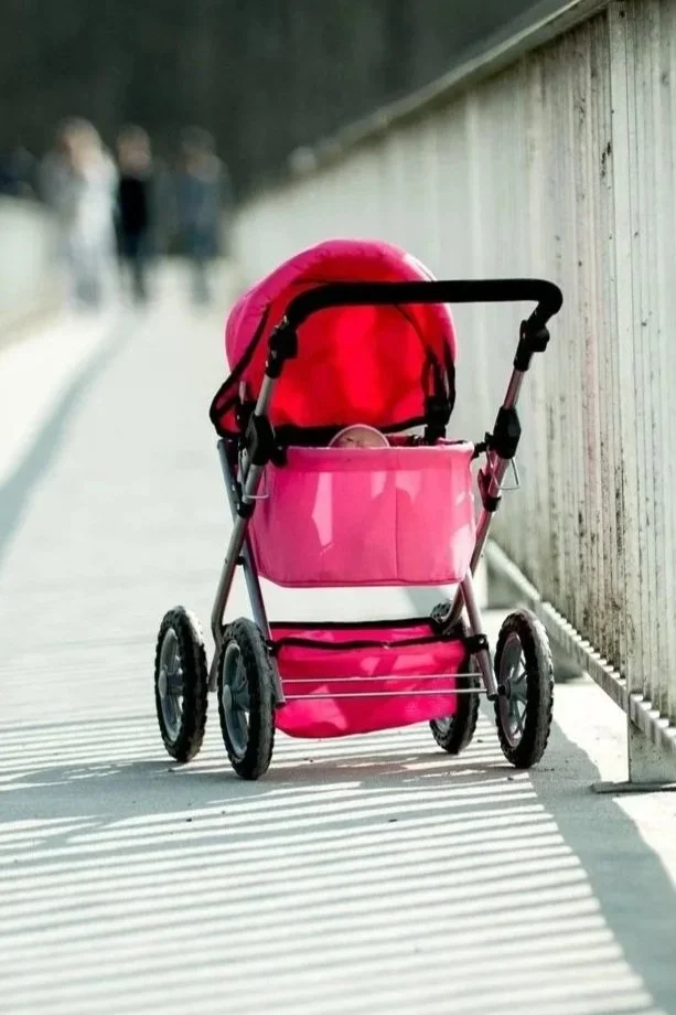 flat basinet style stroller for newborn is best