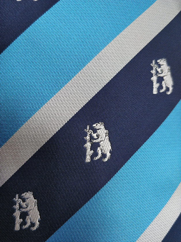 Tie close up.png