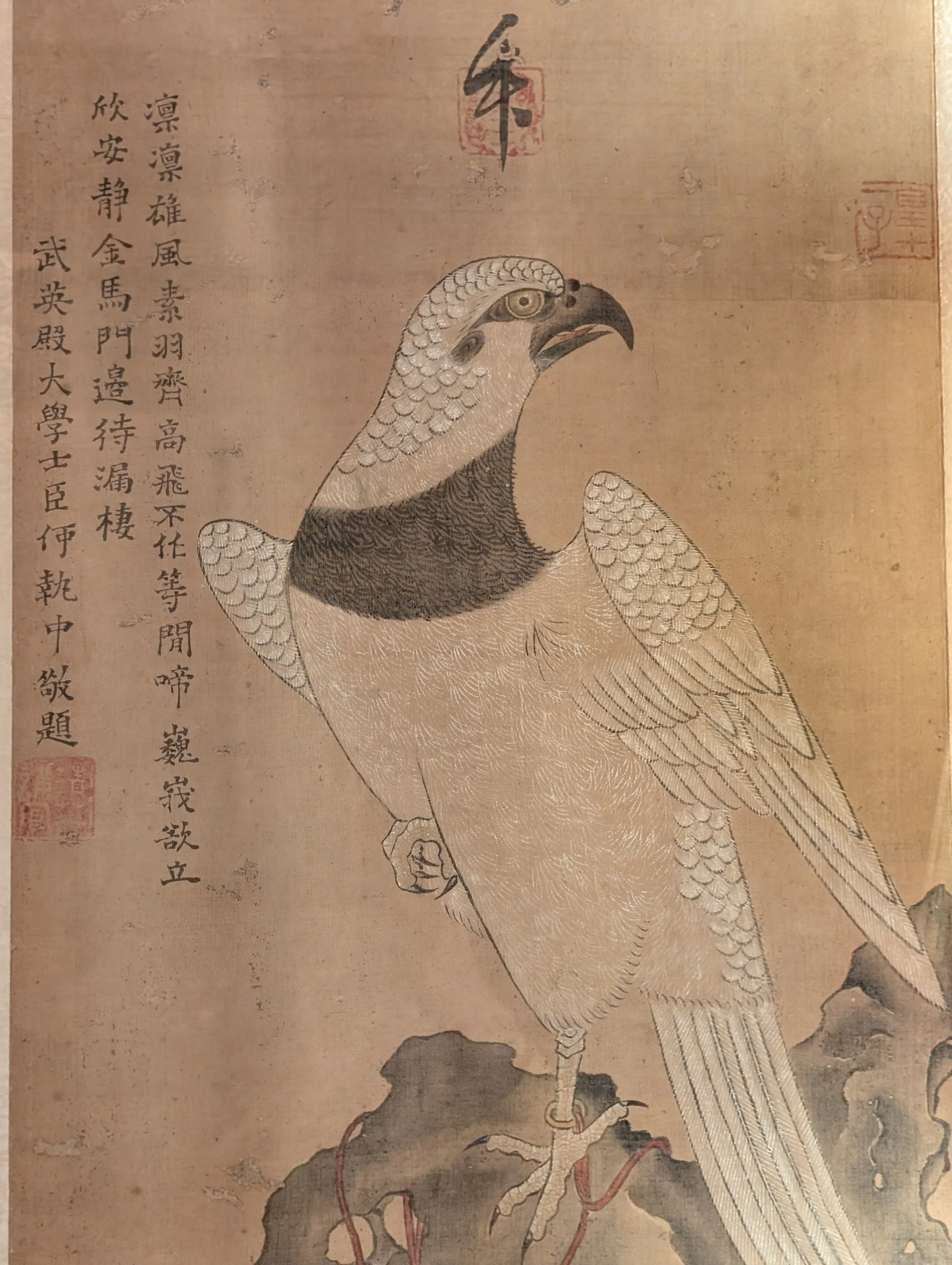 A Chinese painting of a Falcon
