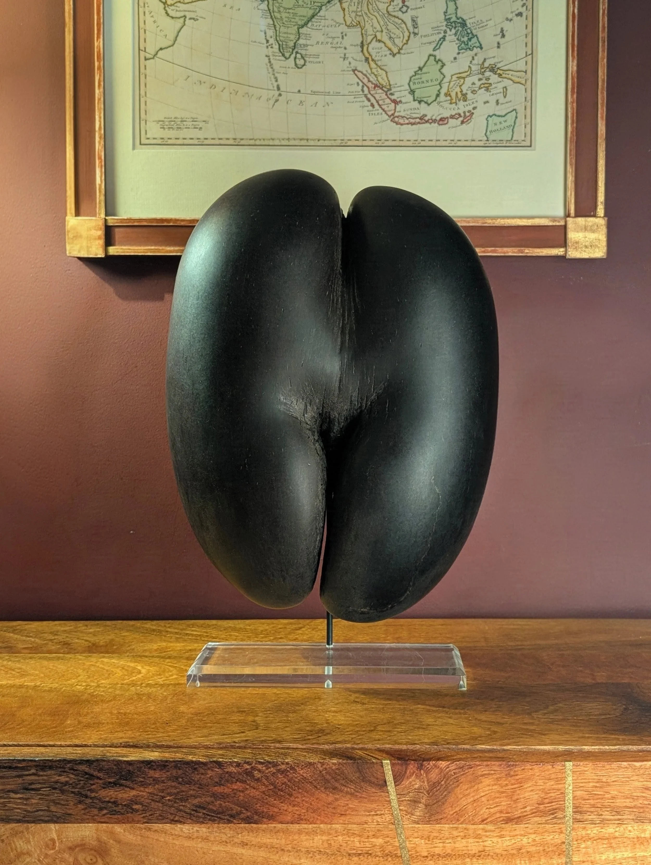 A Coco de Mer specimen
