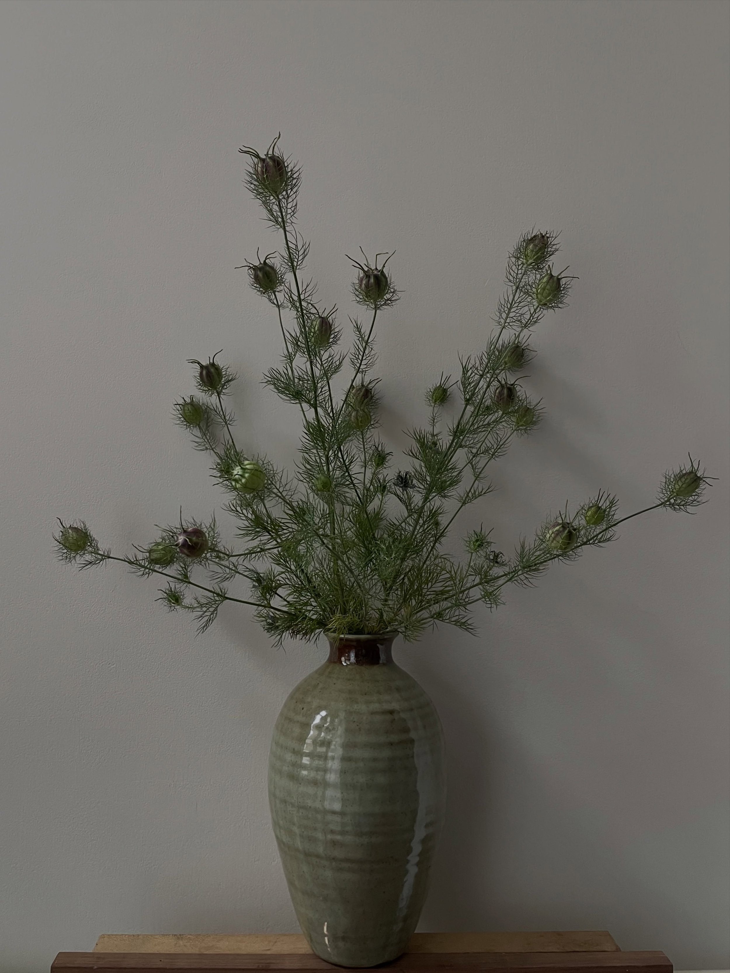 I love these nigella flowers, also known as love in a mist or devils in the bush 👀
This vase is coming with me to @flealondon this Saturday :) 

#pottery #wheelthrownceramics #gasfiredpottery #ceramics #handmade