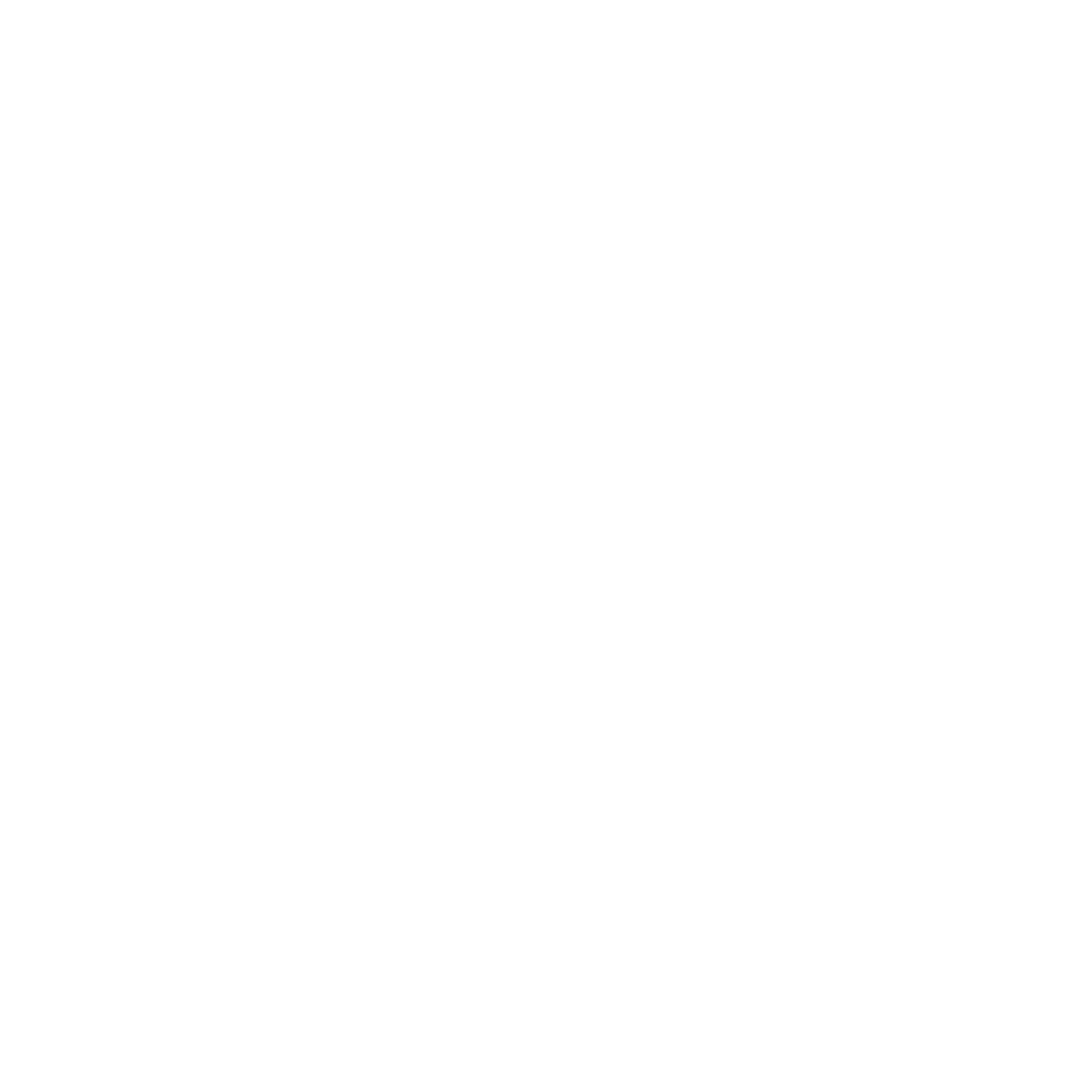 Black circular badge with a capital letter 'N' on the left and a capital letter 'E' on the right, both in white, on a black background with white outline.