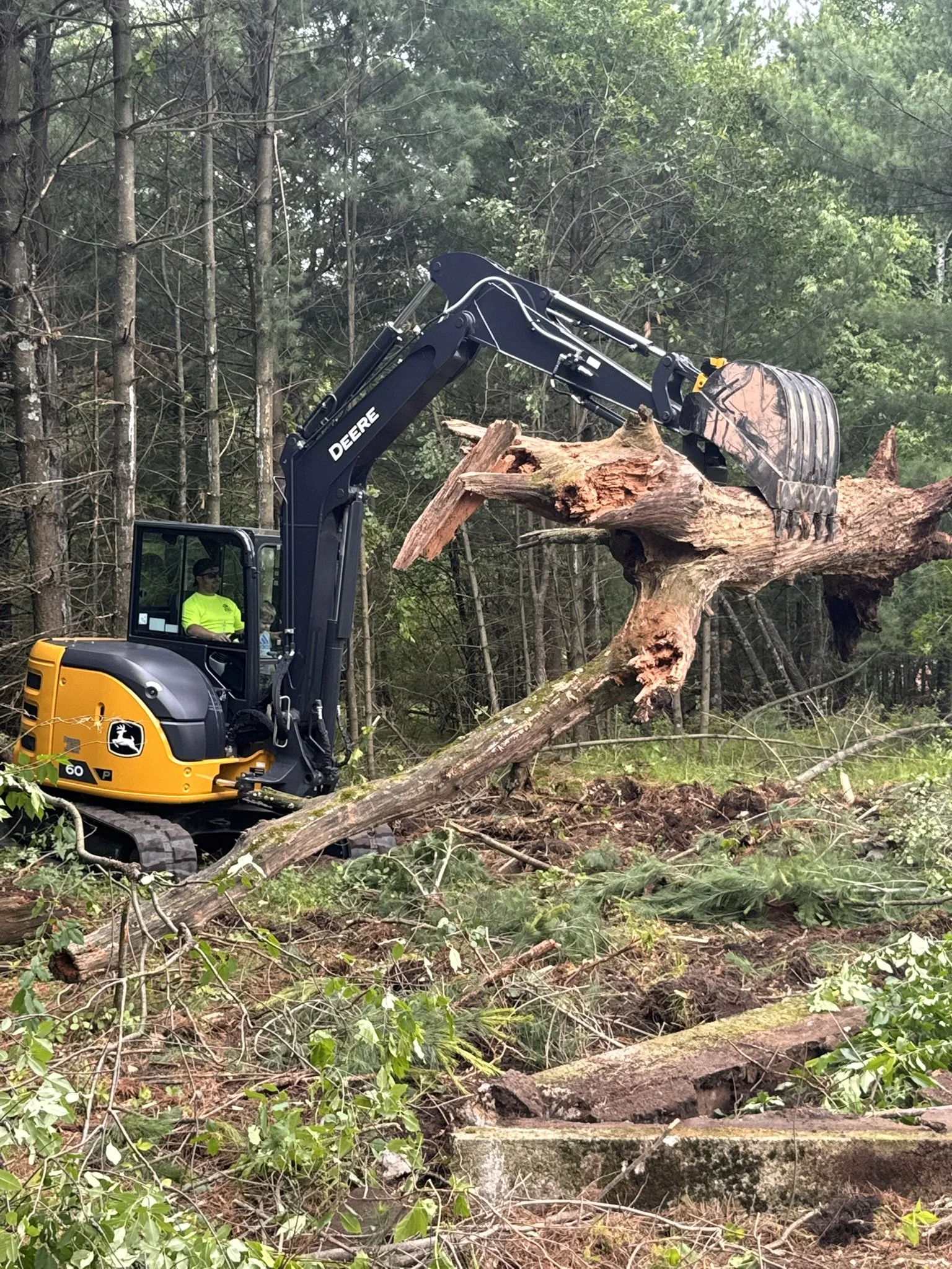 A small excavator working on clearing land in a forested area with tire tracks visible in the dirt, trees and blue sky with clouds in the background.