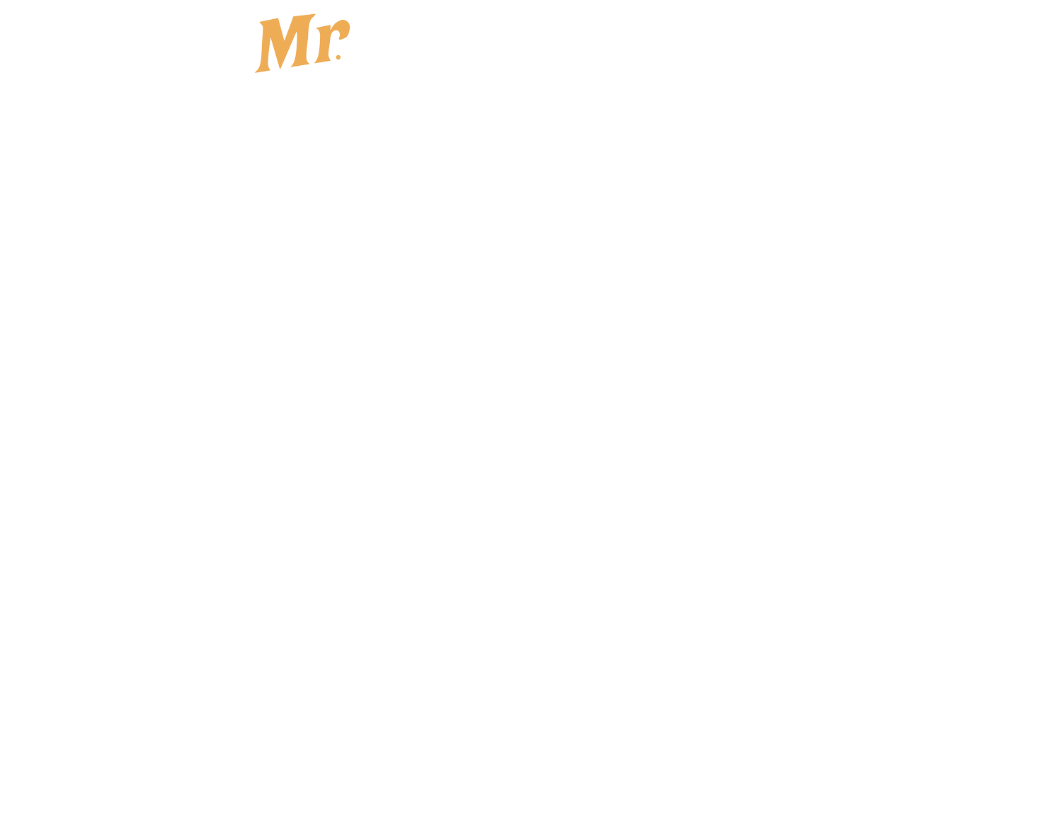 Mr. Nick Strom