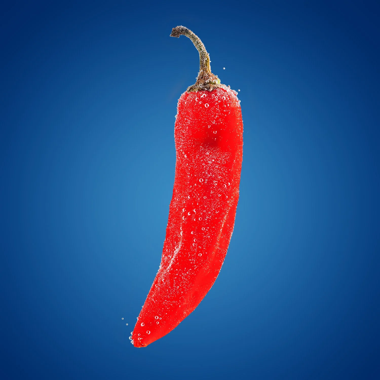 Red chili pepper submerged in carbonated water with bubbles, set against a blue background.