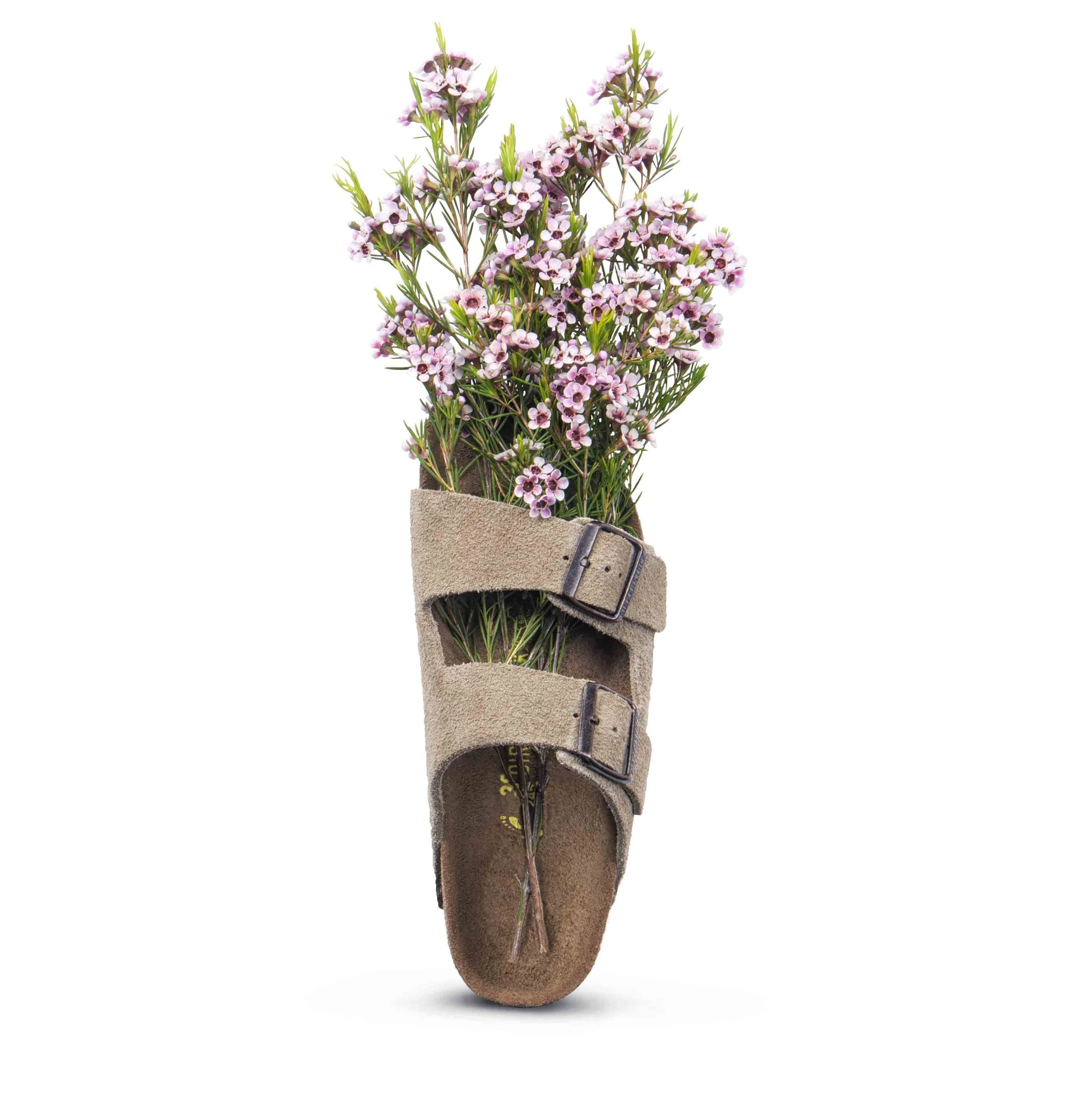Birkenstock_VASE_JH_Final 2.jpg