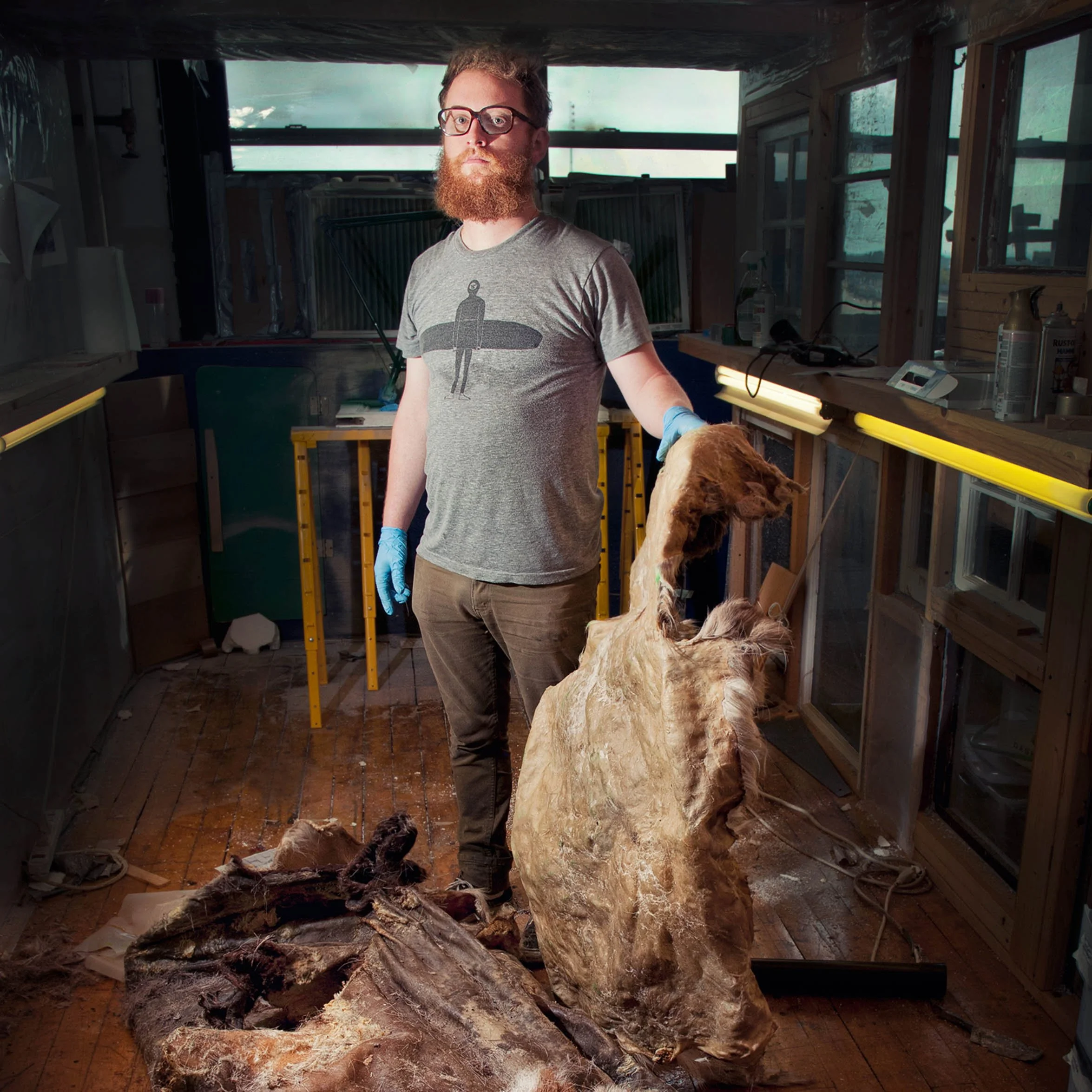 A bearded man wearing a gray t-shirt with a surfboard and person silhouette design and blue gloves stands in a wood-paneled room, holding a large, dried animal hide, with other animal skins on the floor.