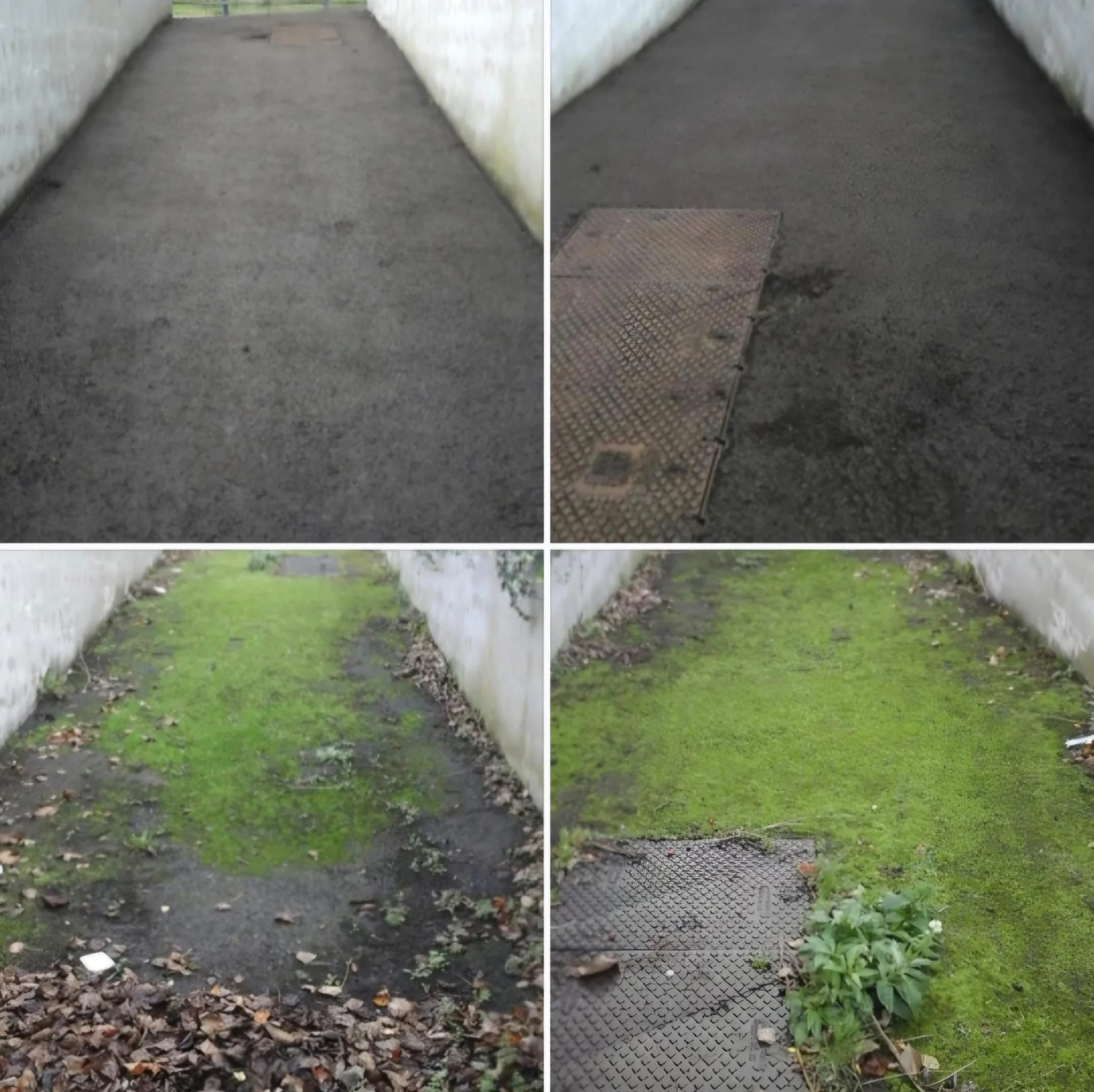Four images showing a progression of a small outdoor pathway. The first two images show a paved path with dirt patches and a metal manhole cover. The last two images show the same path overgrown with grass and moss, with the pathway becoming less vis