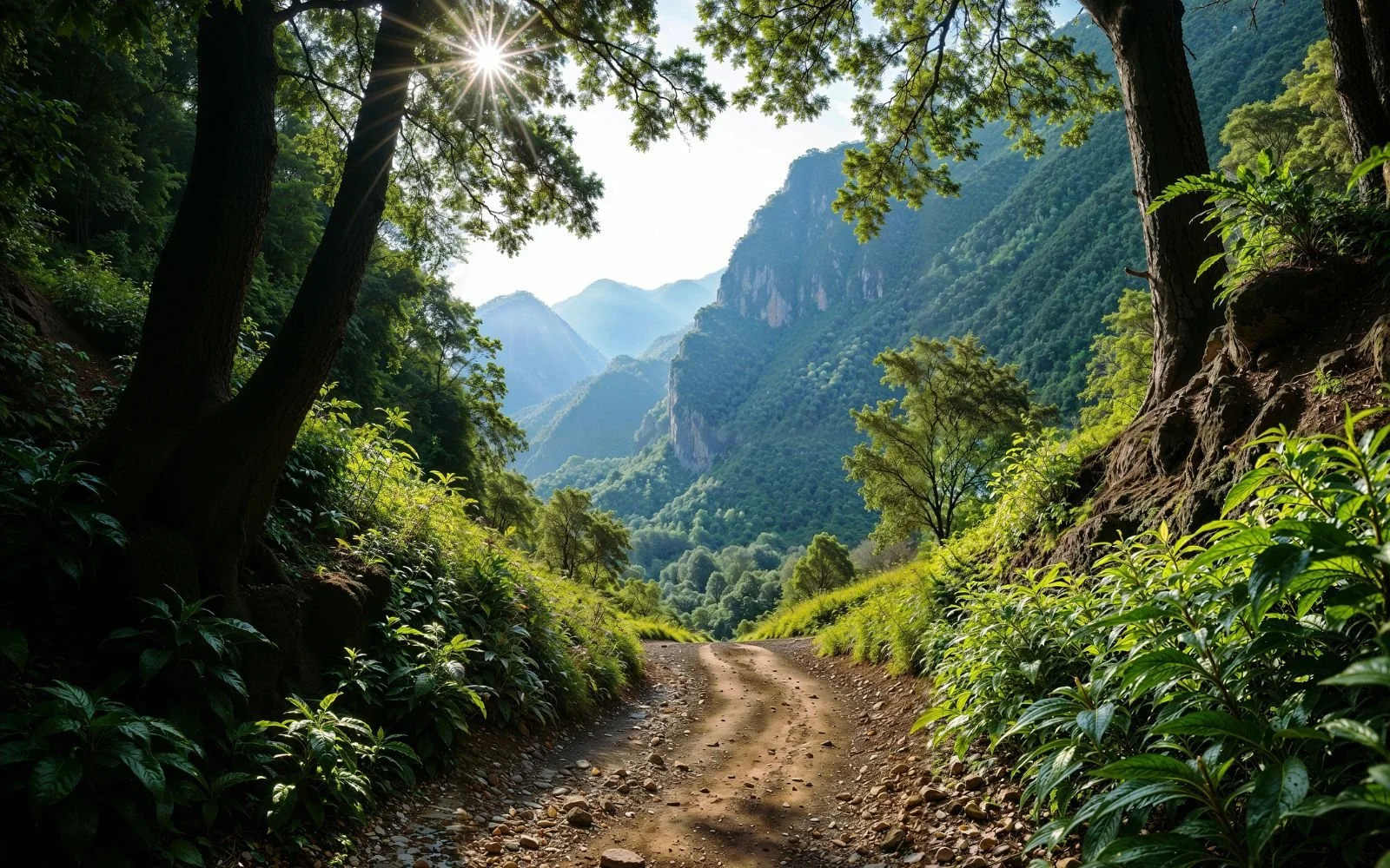 Something needs to change - path through jungle