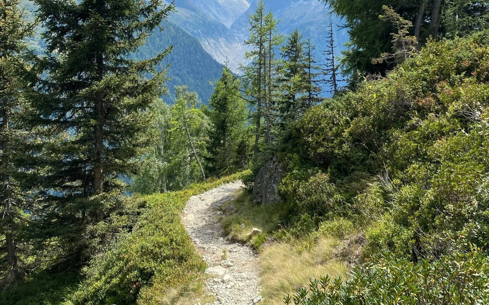 Leadership Design Circle membership for thoughtful leaders navigating complexity