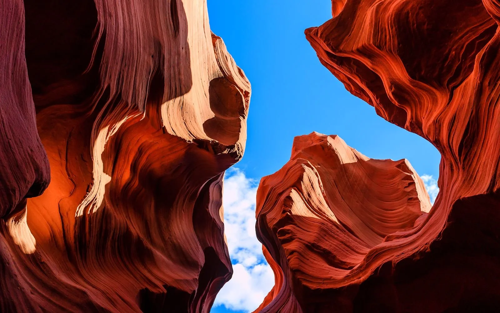 See your genius, leadership load, and how your style can help you