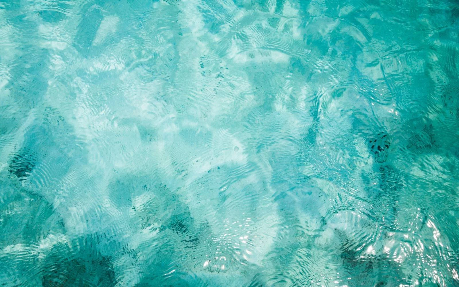 Balance in sustainable leadership.