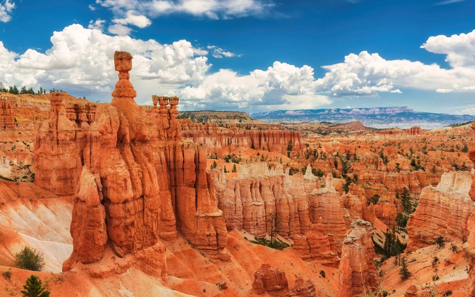 leadership clarity and perspective landscape representing leadership design