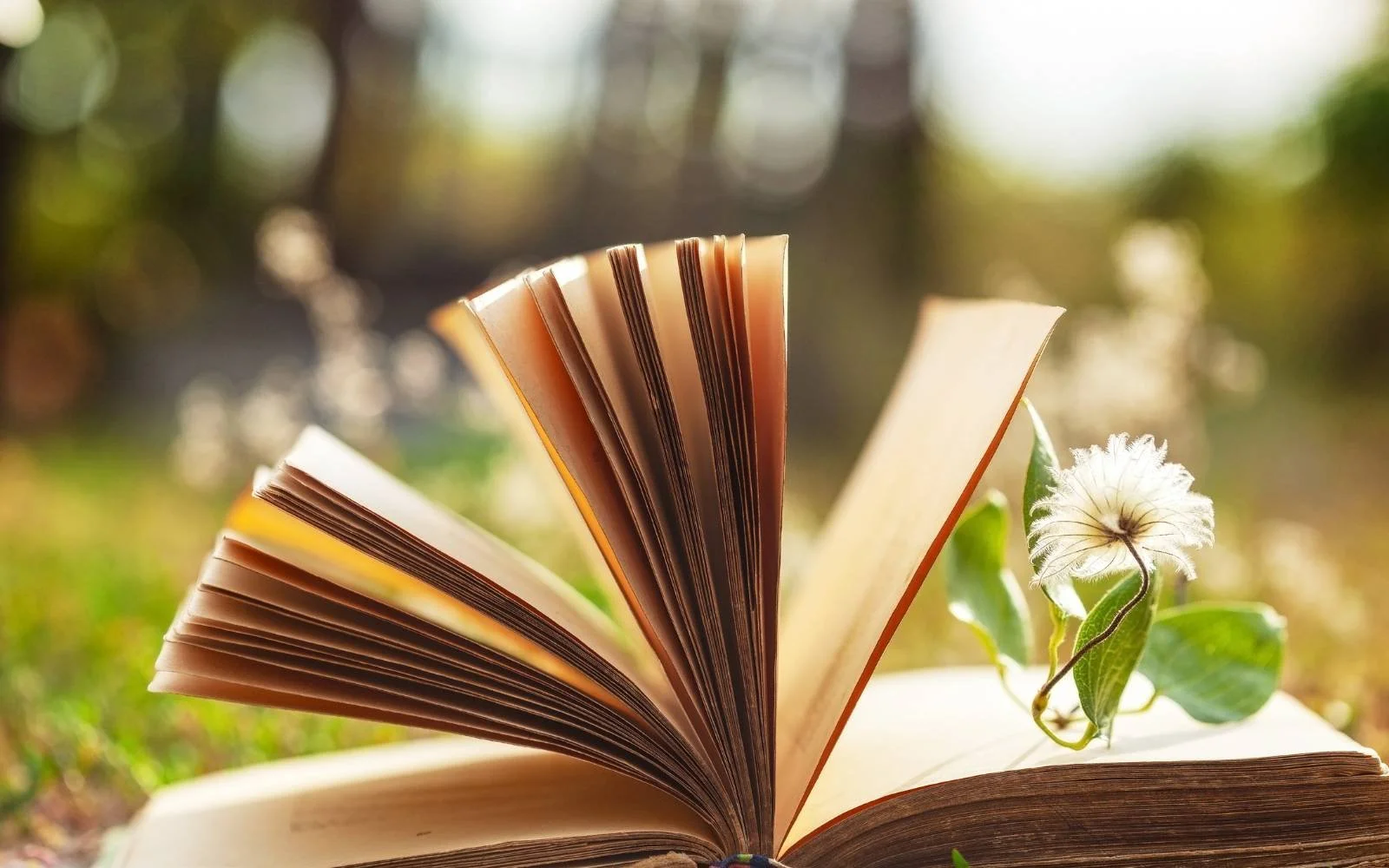 The Unnamed Weight of leadership book