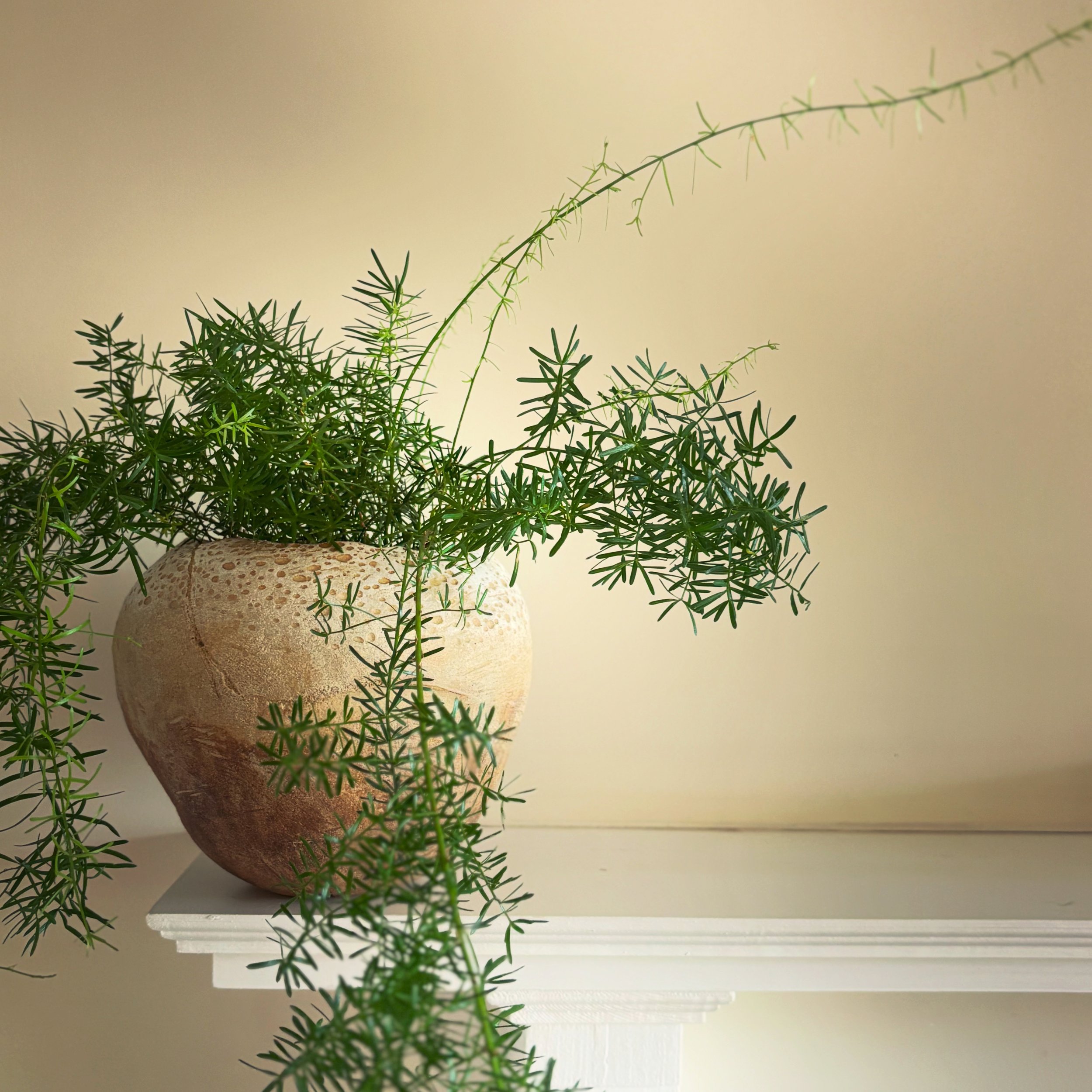 A textured handmade contemporary ceramic stoneware bowl made by FOUND using porcelain and natural materials