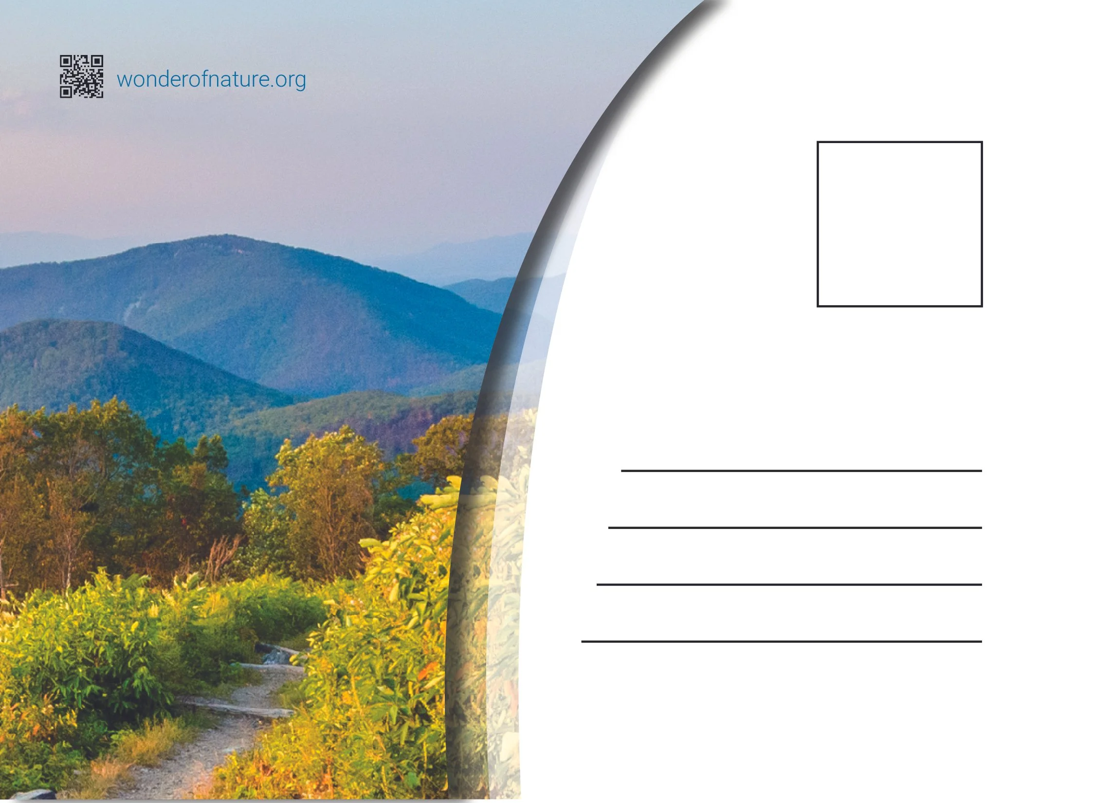 Direct Mail Postcars - Type & Image Design