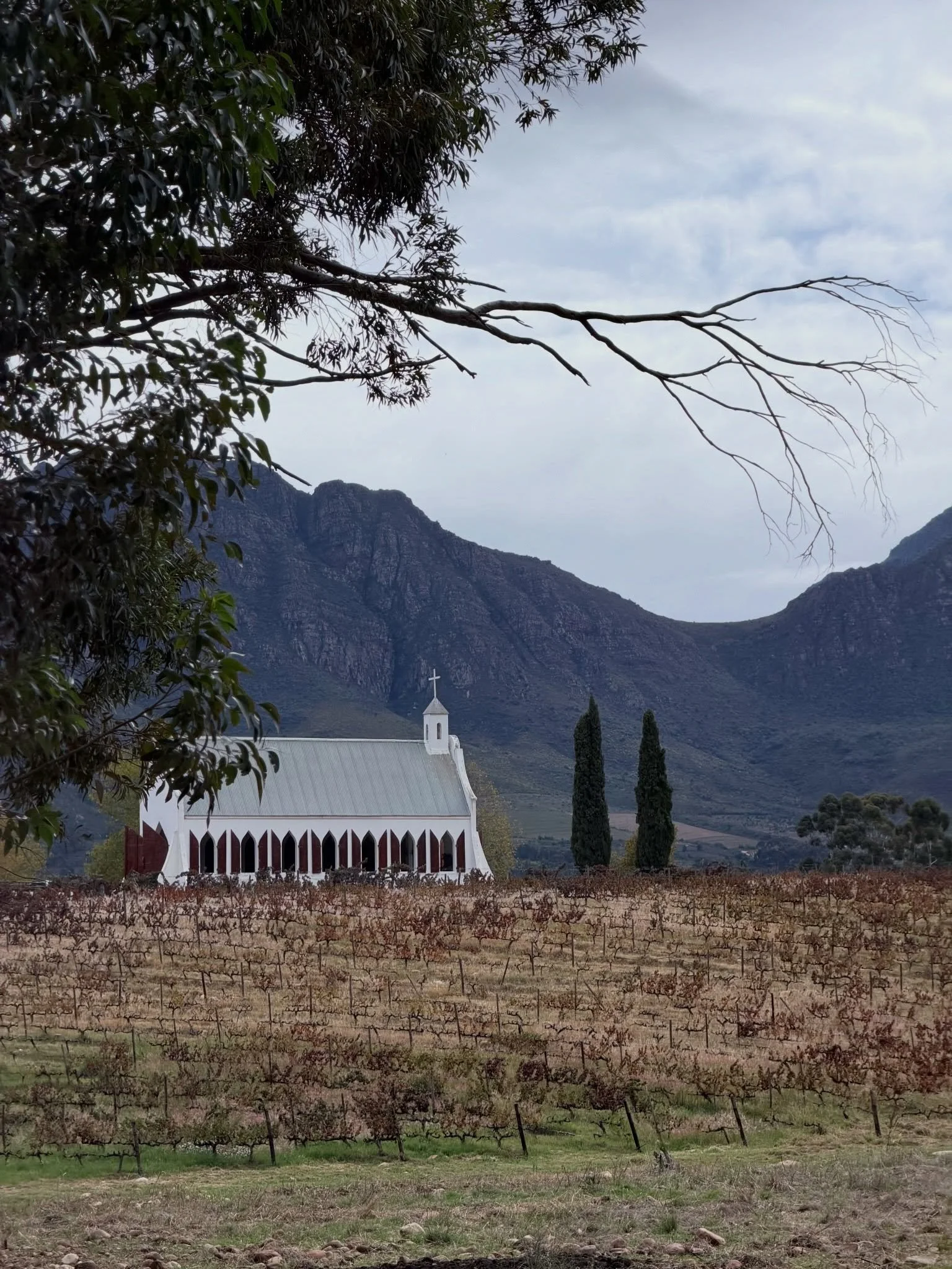 𝗠𝗼𝗼𝗶𝘀𝘁𝗲 𝗧𝘂𝗹𝗯𝗮𝗴𝗵 🍇

Violin + Cello 🎻

#gig #capetown #capewinelands #viol&iacute;n #cello