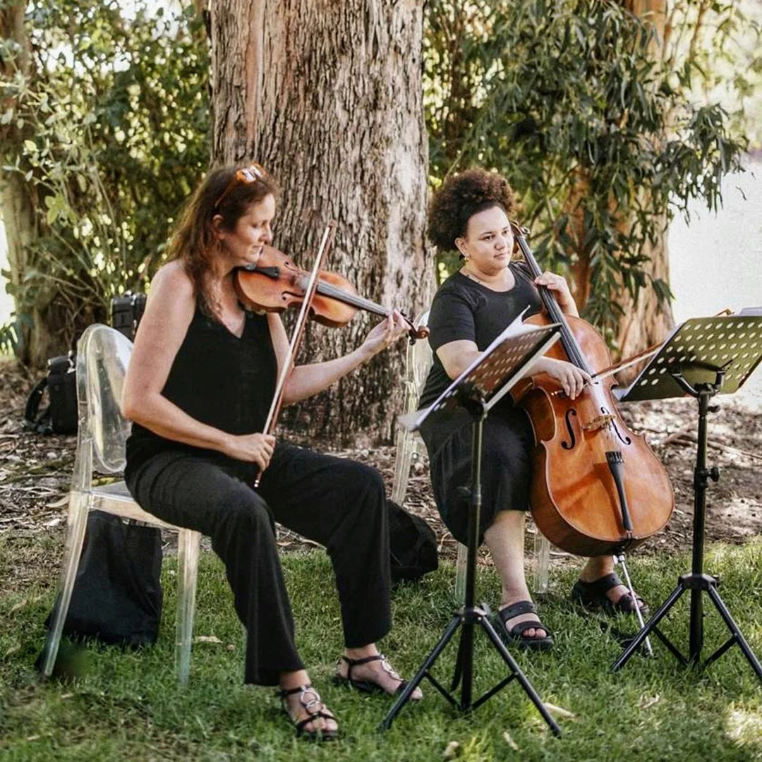 Urban Strings Cape Town String Quartet with music stands in front of them.