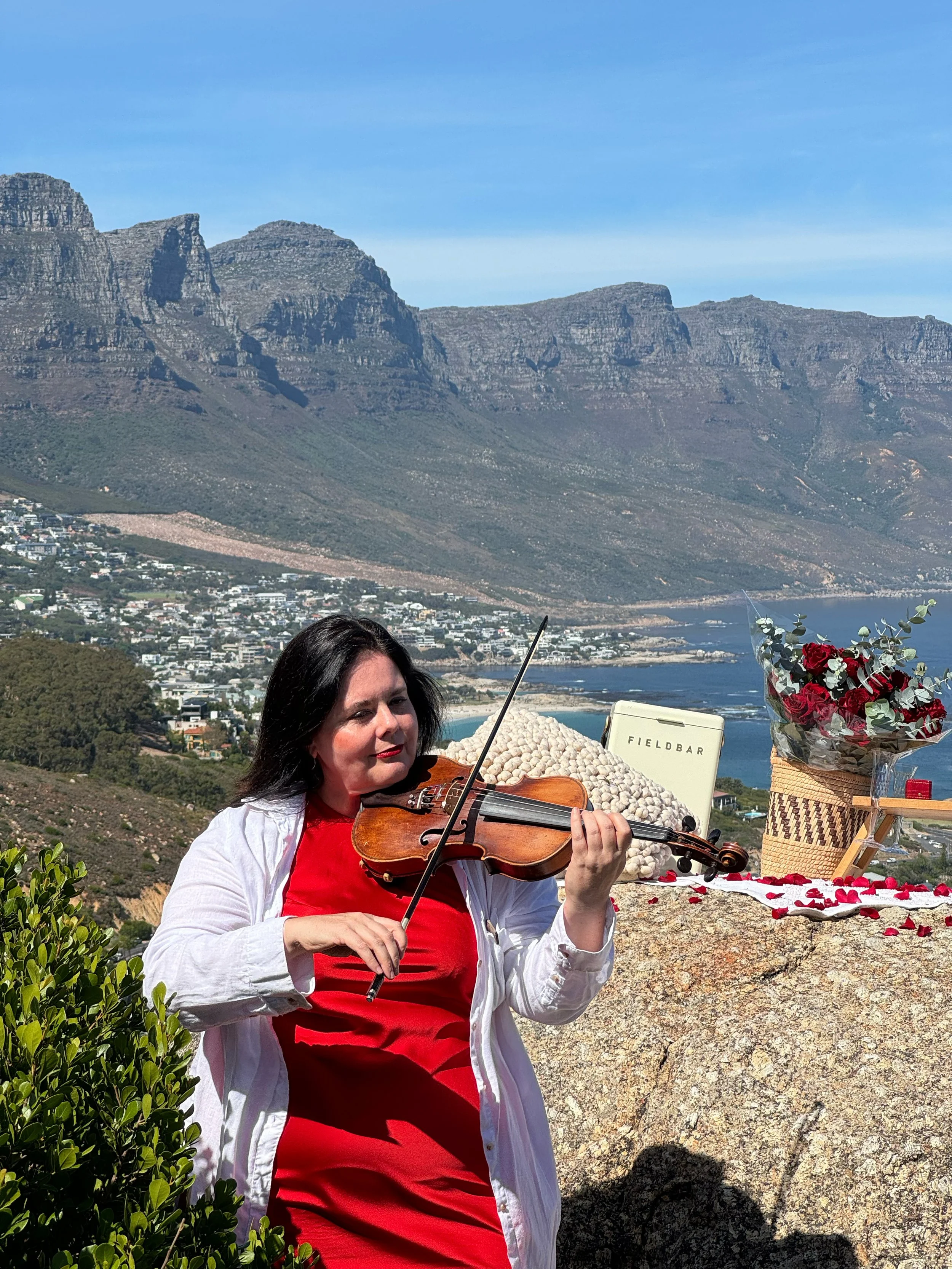 A woman with black hair playing a violin outdoors with mountains, a town, and a body of water in the background. There are flowers and a small box on a rock nearby.