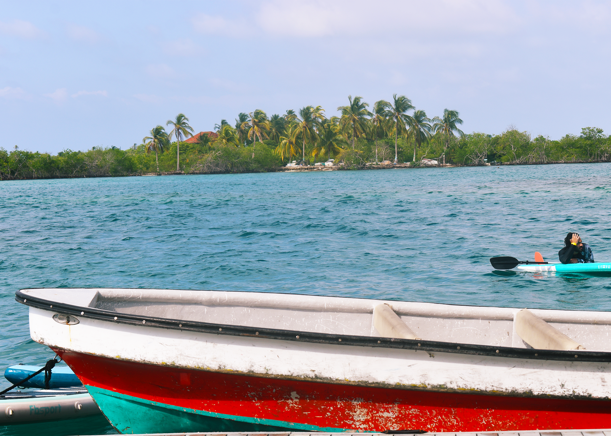 boat and palm.png